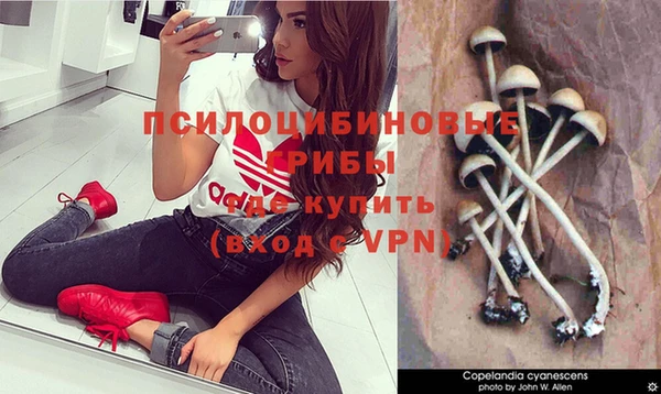 Альфа ПВП Алексин