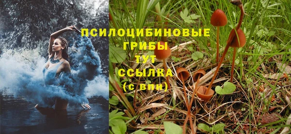 Альфа ПВП Алексин