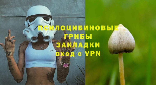 мяу мяу мука Алексеевка